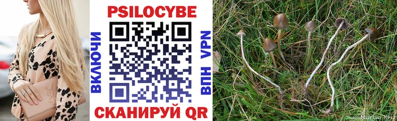 Псилоцибиновые грибы Psilocybine cubensis  маркетплейс официальный сайт  Челябинск 